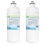 SGF-96-05 VOC-L-Chlora-S-B Compatible Filter for Everpure EV9618-02