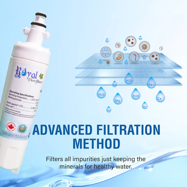 Royal Pure Filter RPF-LT700P CTO Removal Refrigerator Water Filter