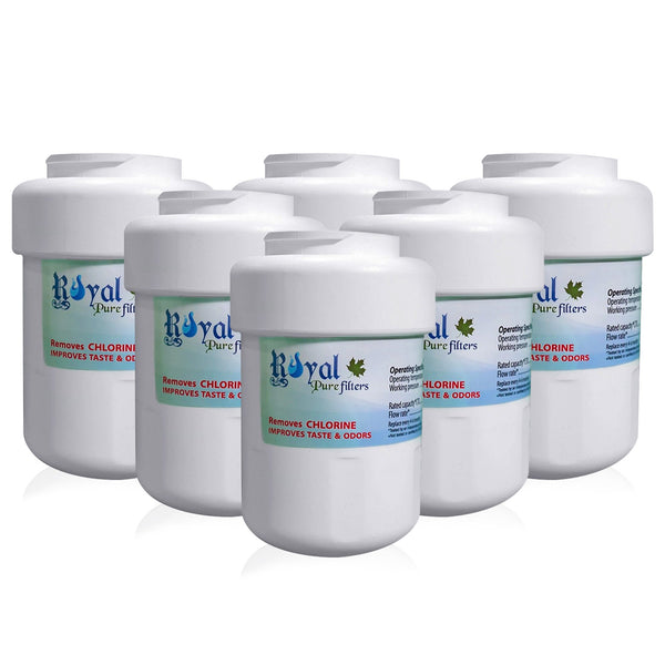 Royal Pure Filter RPF-MWF CTO Removal Refrigerator Water Filter