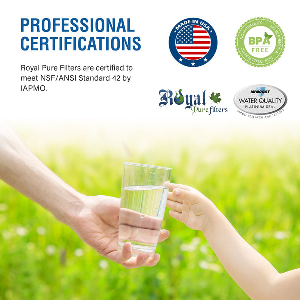 Royal Pure Filter RPF-LT700P CTO Removal Refrigerator Water Filter